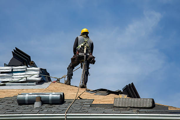 Professional Storm Damage Roof Repair technician working in Freeman, SD